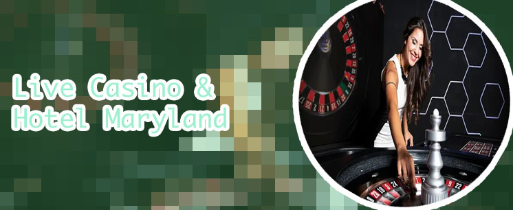 Casino live