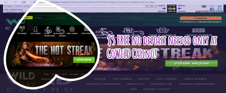 Go wild casino