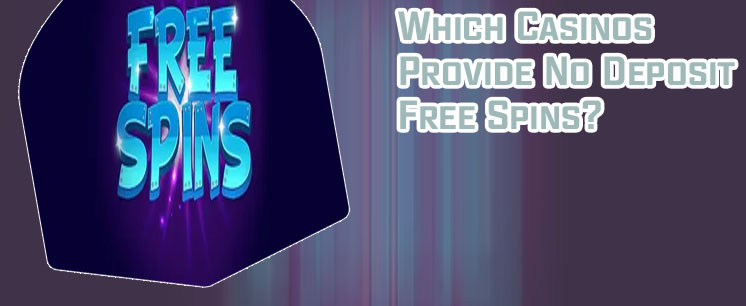 Online casino no deposit free spins