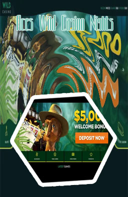 Wild casino